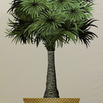 Palme Öl auf Leinwand, gespannt auf Holzkeilrahmen 170 x 100 cm