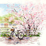 桜と自転車　F4