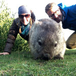 "Selfie des Jahres" mit einem echten Aussie in der freien Wildbahn!