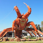 "Larry the Lobster" (17m hoch)! Kingston ist bekannt für seinen Lobster-Fang