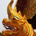 Naga