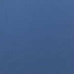 Bleu n°7  Bleu des demoiselles