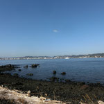 海岸沿いの黒い岩は、すべて溶岩。