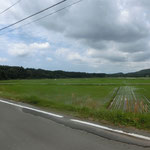 田の神様は