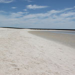 Shellbeach, Shark Bay