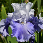 'Santorini' - Schreiner, 2008