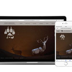 Eberhöfer Horst, Wildlife Photographer - Design der Website
