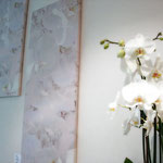 Privatwohnung - Wandbilder "Orchideen"