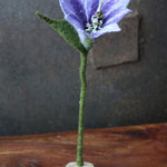 Blume Nr. | Flower No. 51 |   18 €   | ca. 20 cm