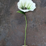 Blume Nr. | Flower No. 52 |   20 €   | ca. 30 cm