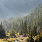 torrente in val Venegia 