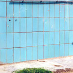 “Raumzeichnung Industriebrache”, 2002, Gras der Brache vor ehemaligem Waschbereich