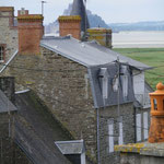 ramonage à genêts avec le mont saint michel caché derrière une maison