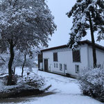 2021 - Gästehaus im Schnee