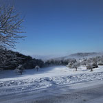 Winter am Schönberg