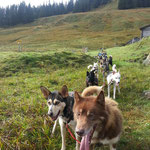 Mit dem Gespann bis vor die Hüttentür gefahren.