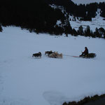 Damit es in der Hütte warm wird, brauchts Holz...