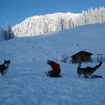 Wenn der Schnee zum Schlittenfahren nicht reicht, wird eben rumgetobt!