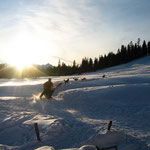 ... und ab die Post! Uma in loose Lead - wow war das eine geile Fahrt!!