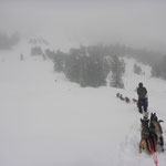 Auf dem Rückweg, Wind und Schnefall.