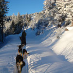 Mit schwer beladenen Schlitten rauf zur Hütte.