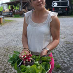 Salat und Radisli aus dem Garten!