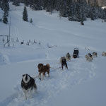 Alle bereit - es geht nach Hause.