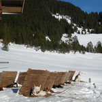 Mit Windschutz und Heubett, läst sichs gut sünnele!