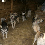 Und wenn es wirklich ganz schlimm wird, hat es neben der Hütte noch einen Stall,
