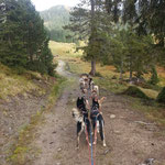 Die Hütte ist in Sicht!