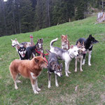 Und wer löst den Knoten in den Leinen?!? ;-)