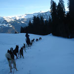 Mit zwei Gespannen die Gegend erkunden.