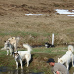 Zum Glück hats neben der Hütte ein "Bächli", dies dient zur Abkühlung und Unterhaltung ...