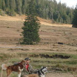 Auch im Herbst ist es wunderschön da oben!