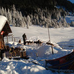 Bis auf die Terasse!