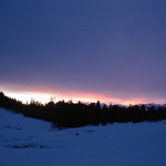 Kalt und super Trail, schnell die Hunde wässern...