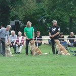 unsere Zuchtgruppe, Alma, Flocki und Caro