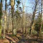 Am Bach