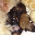 Kuschelfoto