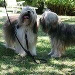Milka und Percy