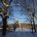 Wintermorgen