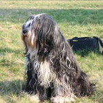 Gesar im Jahr 2007