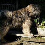 Mon-sha in der Morgensonne