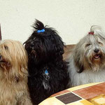 Bya-ra, Kar-mi, Milka und Percy