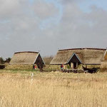 Bork Vikingehavn