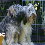 Mon-sha und Mama Milka