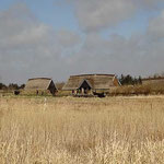 Bork Vikingehavn