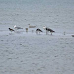 Jerup Strand