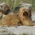 Milka und Bya-ra