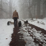 F-chen Neujahrspaziergang im Nebel - 1.1.2015